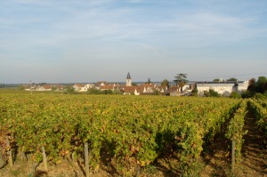 vineyards behind Vosné Romaneé